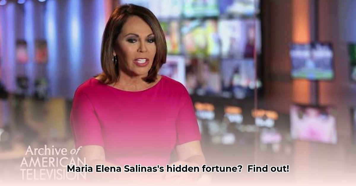maria-elena-salinas-net-worth